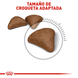 FCN HAIRBALL CARE - CROQUETA